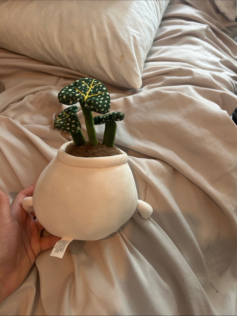 Cute Plush Plant Pot Toy - Cream & Green - Picture 3 of 3